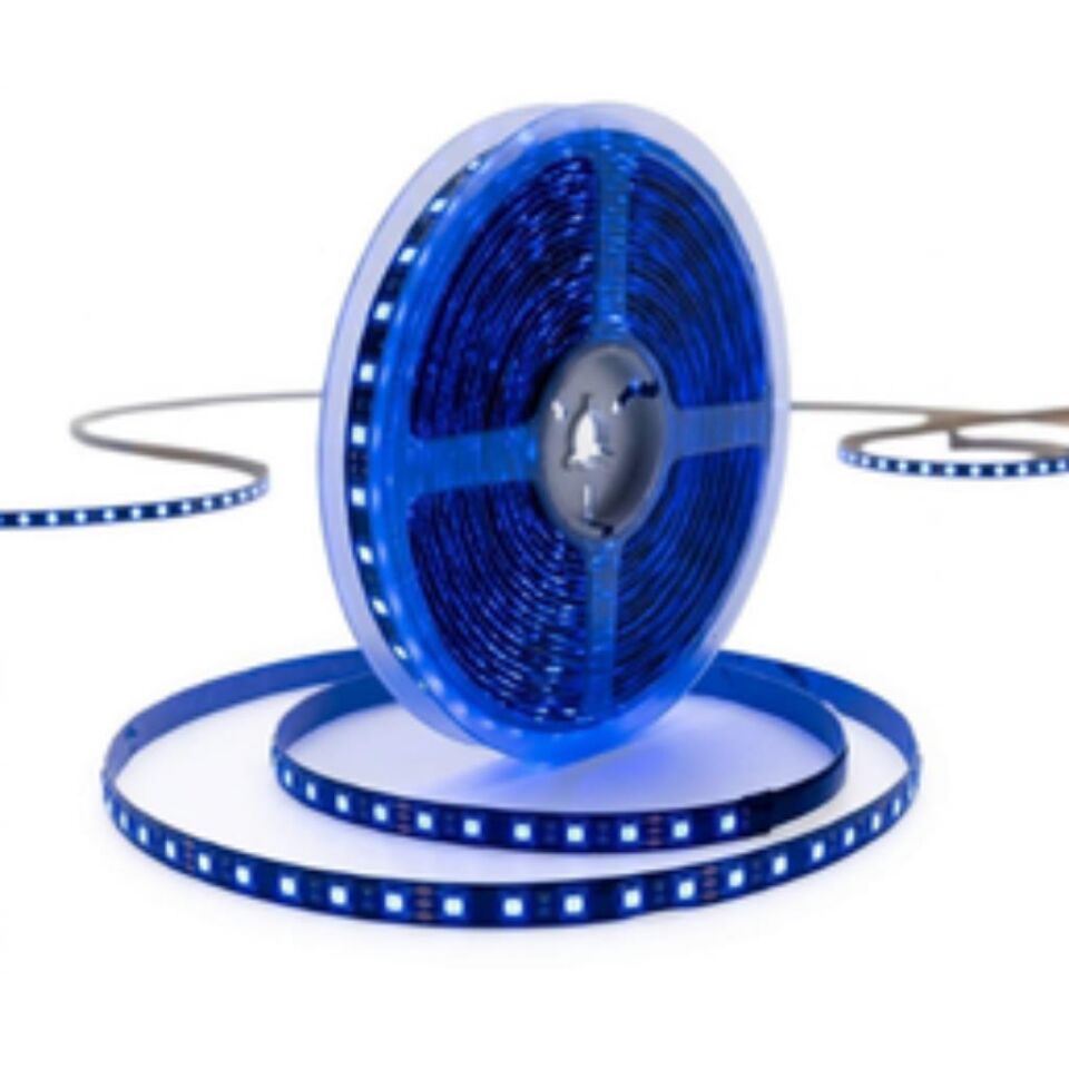 MAVİ ŞERİT LED SİLİKONLU 24V